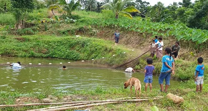 Members of the Waibau Womens Group with families harvesting Tilapia fish from one of the fish ponds the group had setup.