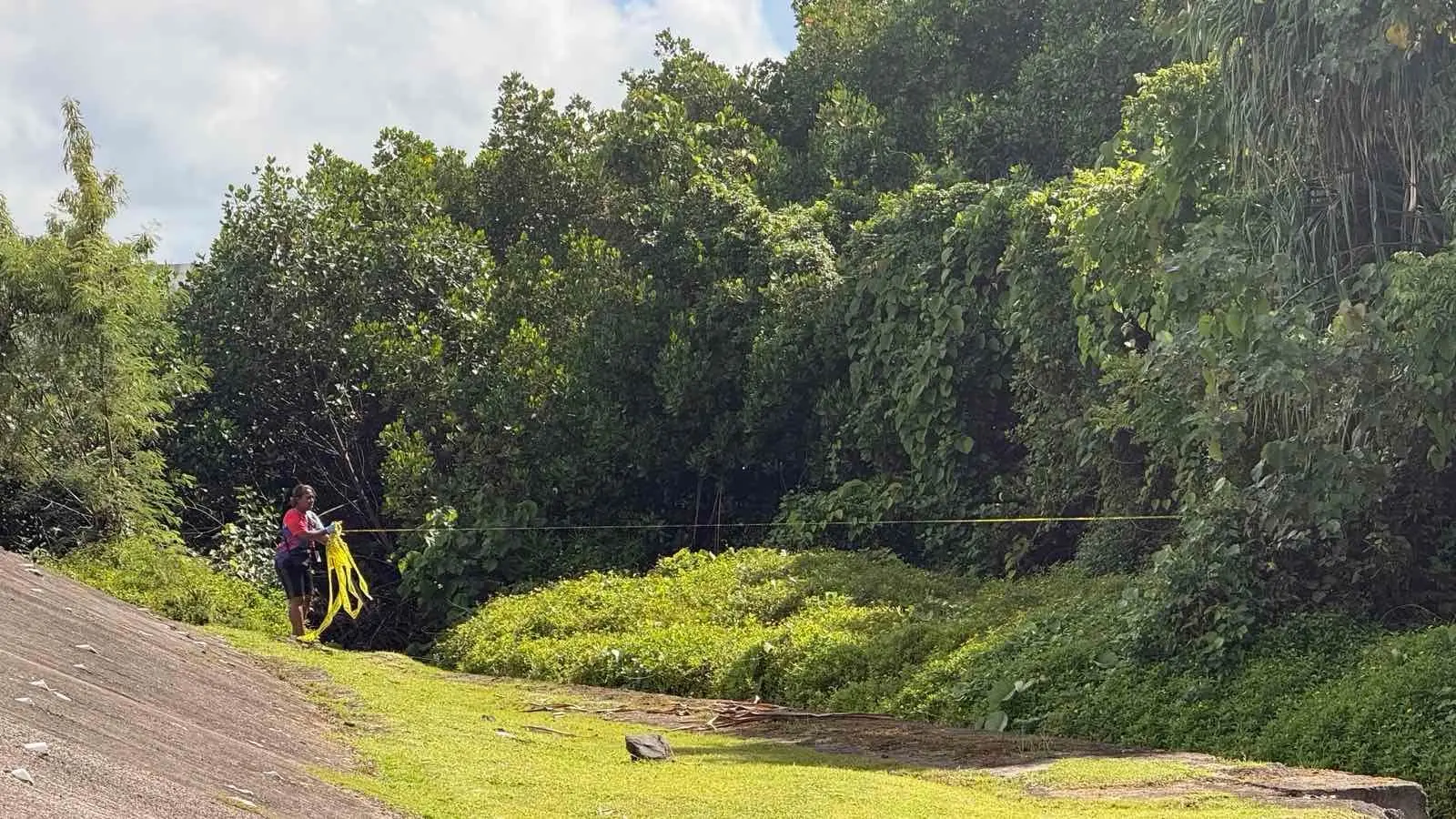 Police investigation 