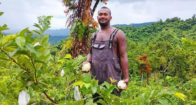 Marika Davetawalu at the family’s green pearl guava farm in Savusavu on January 5, 2023.