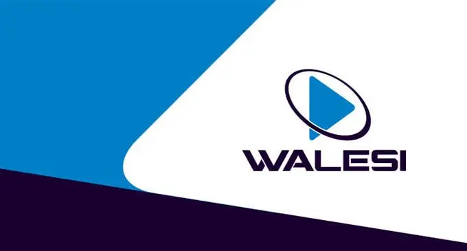 WalesiMobileHead copy