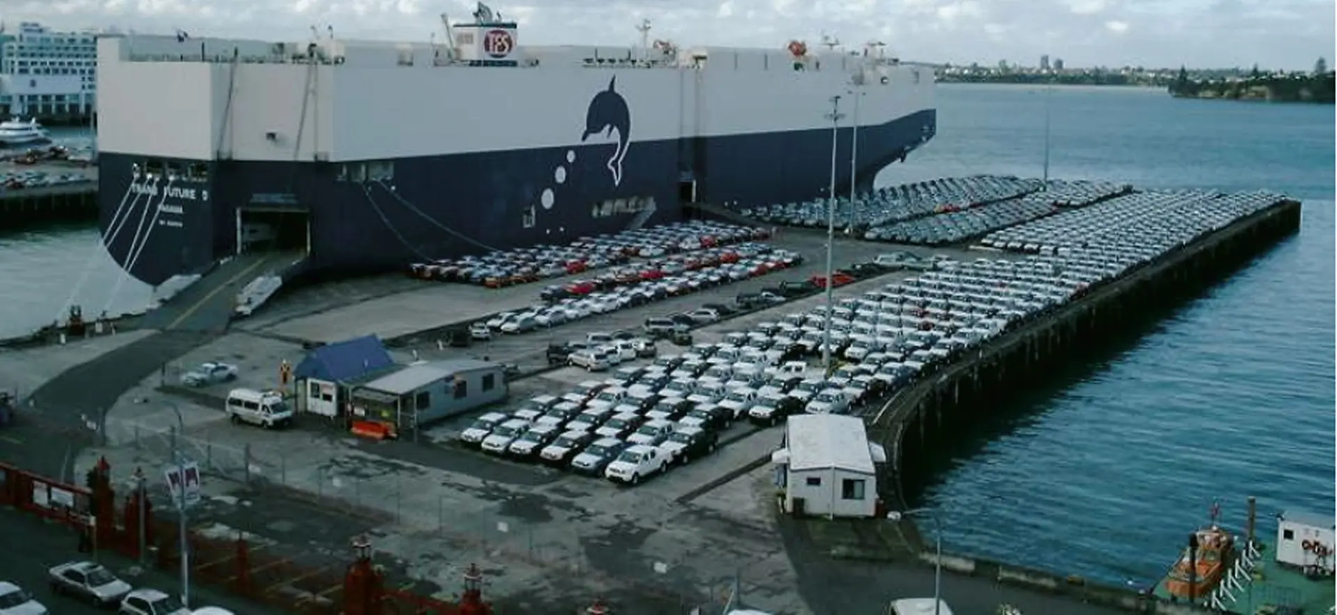 Trans Future 5 discharging cars at Port of Auckland