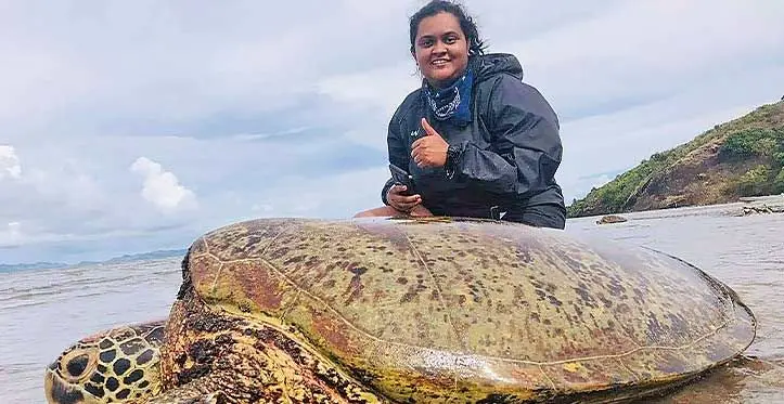 Shritika Prakash out in the field with a green turtle (vonu dina). Photo: Alisi Soderberg