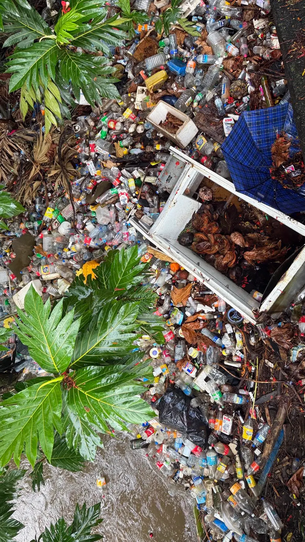 Minister for Environment and Climate Change Lynda Tabuya announced the increase at the launch of the Trashboom initiative in Suva on Monday.