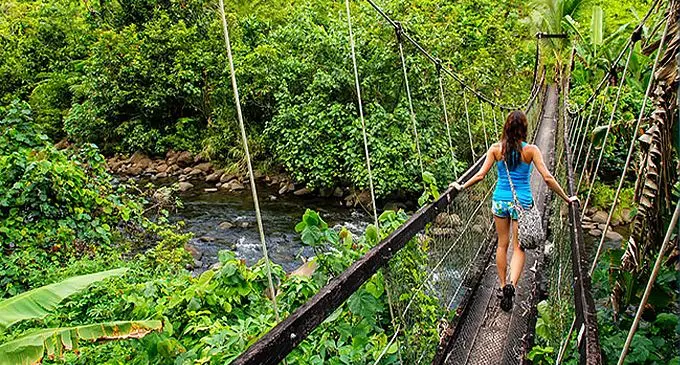 Guest enjoying Lavena Coastal Walk in Taveuni.