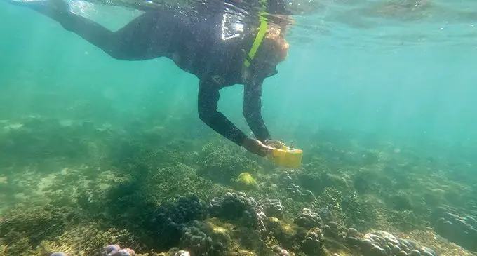 Women in the Ministry continue to play important roles in ensuring that our fisheries is managed, sustained and protected for generations to come