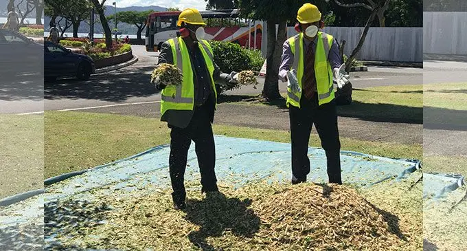 Minister for Agriculture, Waterways and Environment Mahendra Reddy (left), holding the greenwaste compost after its shredding process on April 22, 2022. Photo: Inoke Rabonu