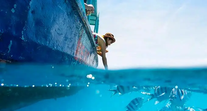 Fish feeding is among many activities at Beachcomber Island Resort