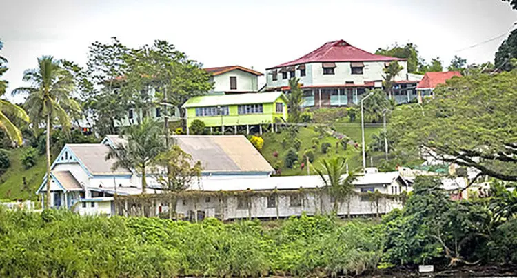 A photograph of 3 large homes on a hill between trees. 
