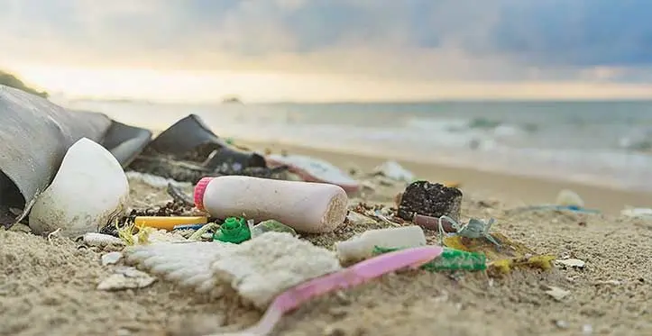 Pollution has been found on the beaches as it washes ashore from the ocean affecting our marine life.