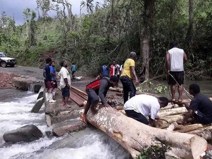 Youth and Nayarabale villagers building the temporary tree trunk bridge.