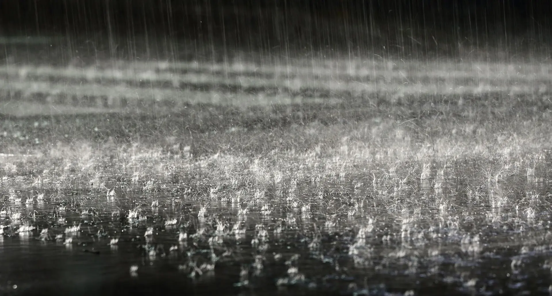 heavyrain