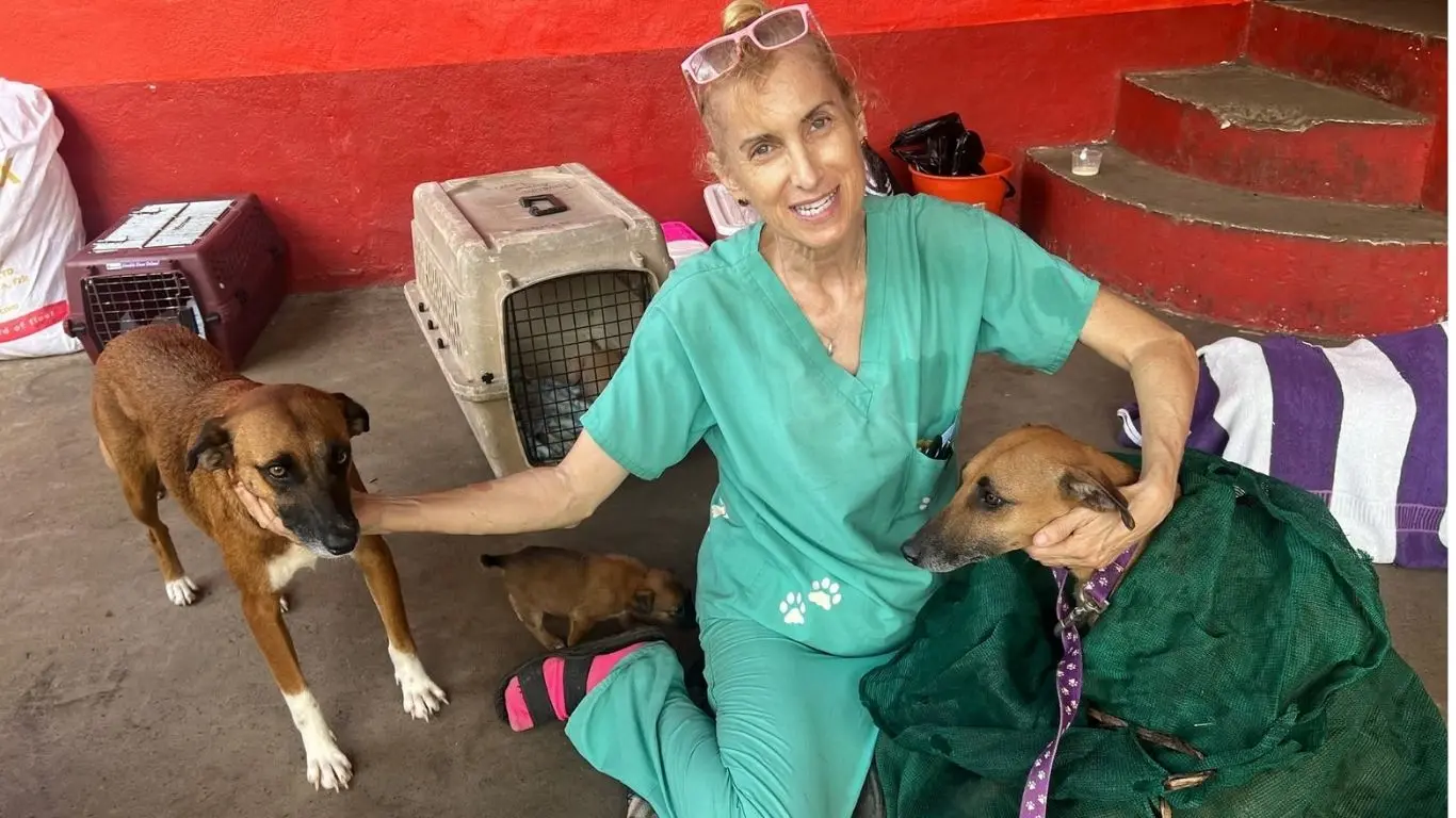 Julie Seidman, who runs Taveuni Animal Lovers, works to provide veterinary care and desexing services to animals in Taveuni villages.