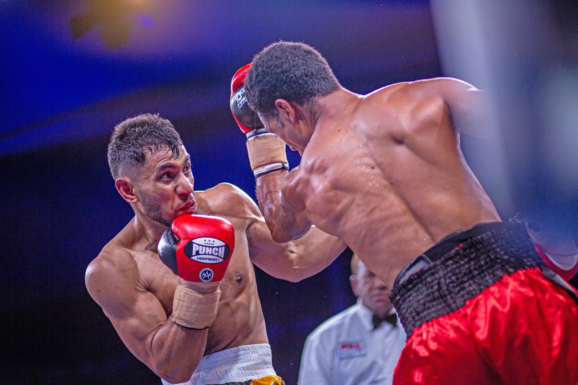 Sydney-based trainer Lepani Wilson is calling for a review of professional boxing in the country. 