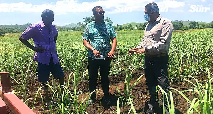 From left: Sugarcane farmer Janendra Kumar, Sugar Cane Growers Council chief executive officer Vimal Dutt and Fiji Sugar Corporation chief executive officer Bhan Singh at Field Information Day organised by Sugar Research Institute of Fiji in Nawaicoba, Nadi on October 22, 2021. Photo: Shreya Kumar.