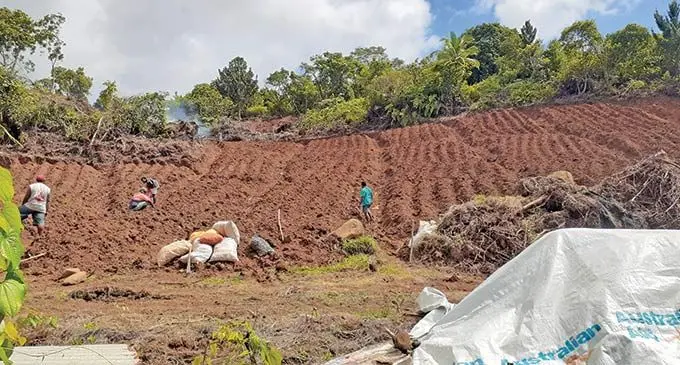 Na veiloga ni ginger ka sa tauyavutaka na Nacolovou Farm and Enterprise mai na koro ko Naburenivalu, mai Namena ena yasana ko Tailevu. Veitaba: Jope Gaunavou