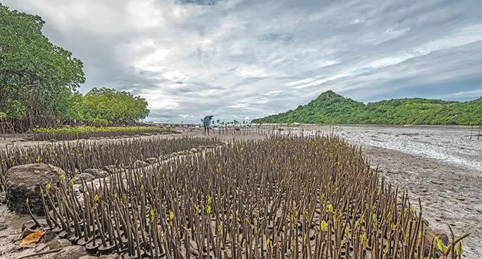 The winning image captured by photographer Tom Vierus. Photo: Tom Vierus 