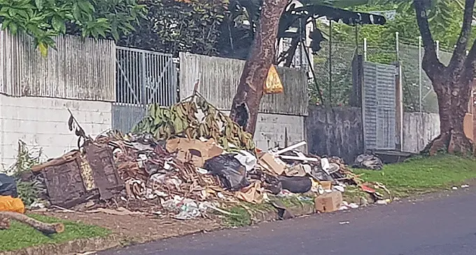 Pile of rubbish along the informal settlement close to Padam Lala Road.