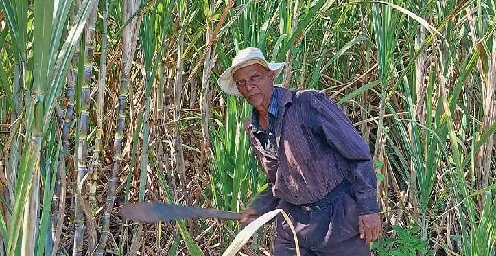 Nirbhay Chand at his farm in Drasa, Lautoka. Photo: Salote Qalubau