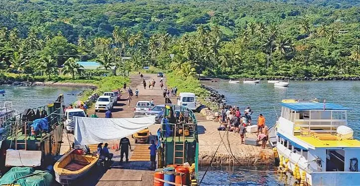 The Garden Island of Fiji, Taveuni, is progressing towards a 100 per cent organic farming status. Prime Minister, Sitiveni Rabuka, during his recent visit highlighted about this development. Inset: Regular customer, Toga Kalougata with local market vendor, Peniasi Saqaniliwalala at the Naqara Satellite Township in Taveuni. Photo: Sampras Anand