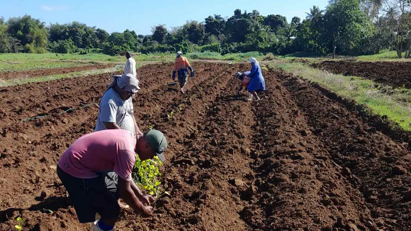 Fiji moves to improve chemical safety in agriculture sector