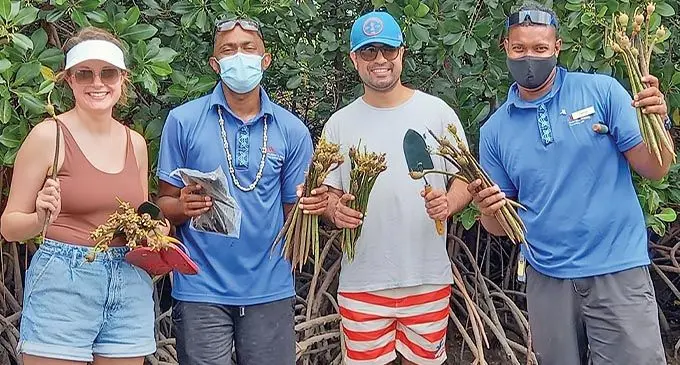 Guests and staff members of Fiji Marriott Resort Momi Bay during the mangrove planting event at the five star resort in Momi Bay.