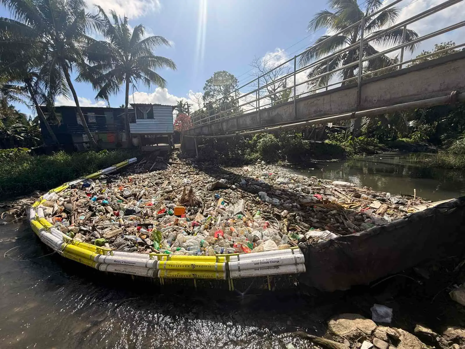 Residents have complained of mosquitoes, dead animals and a stench coming from the creek.