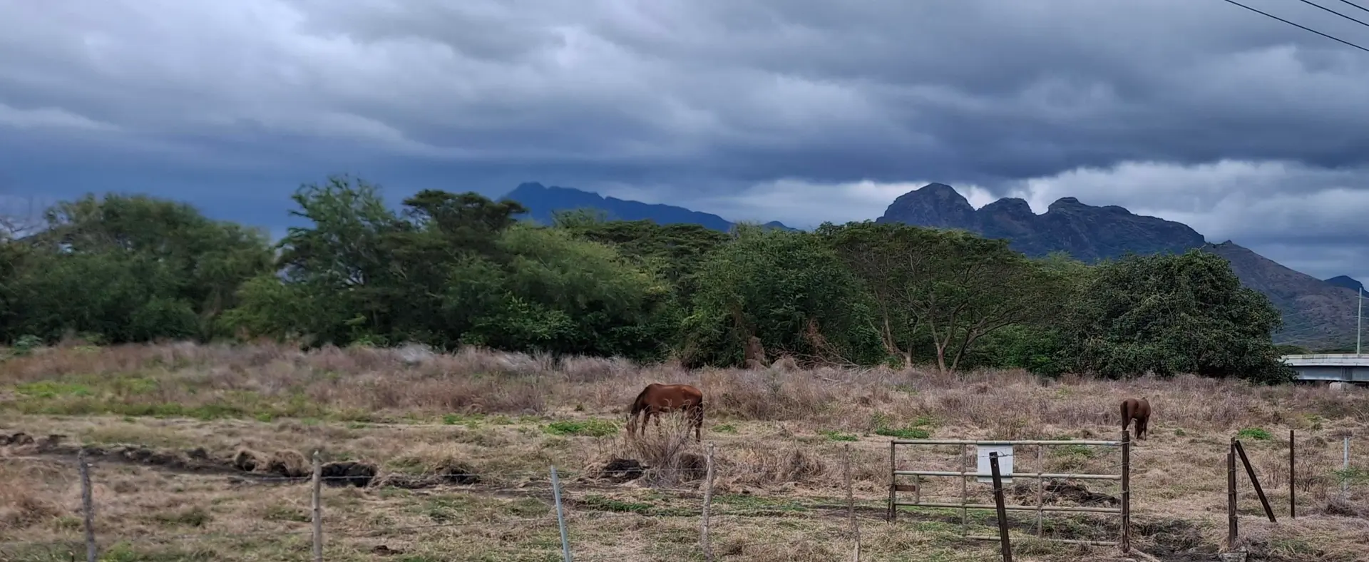 Water shortages, declining pasture and El Niño conditions are reshaping the livelihood of a 61-year-old farmer in Naqoro.