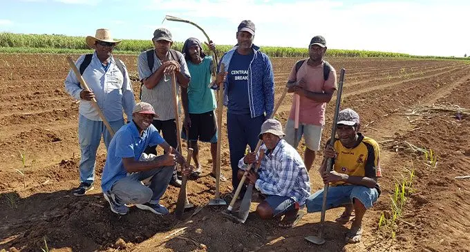 FSC fieldman workers, from left, Vinod Mani, Bili Susudogo, Ritesh Kumar, Bili Kamoe, Abdul Tazim, Ravuama Qito, Vacolo Bugale and Ilisoni Dobui at a Drasa sugarcane field in Lautoka on July 26, 2022. Photo: Nioolette Chambers