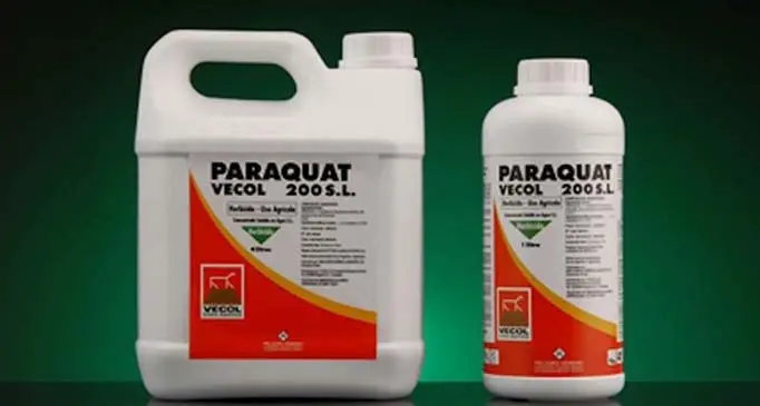 Dogs-roaming-free-face-highest-risk-of-Paraquat-poisoning-750x403