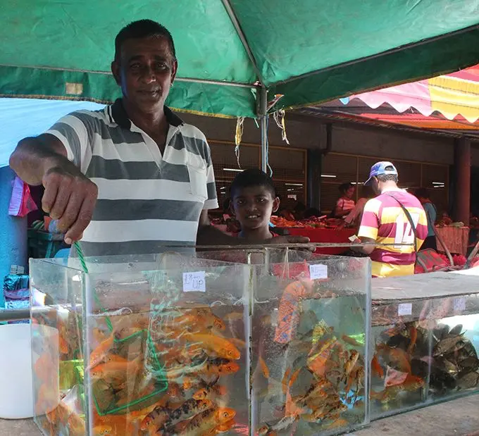 Fish farmer Edwin Prasad with his fish outside the Suva market on March 2,2019.Photo:Simione Haravanua.