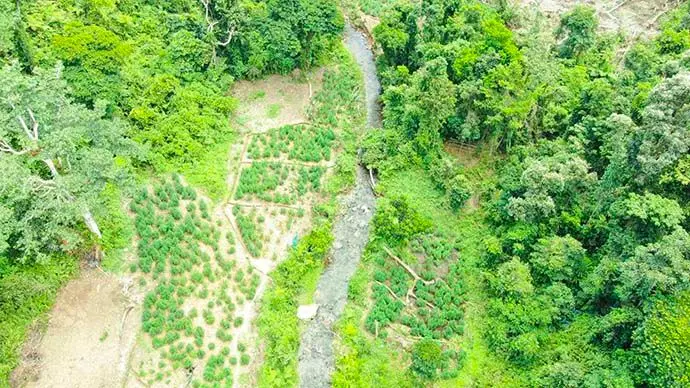 Drone photo of one of the 27 farms in Kadavu.