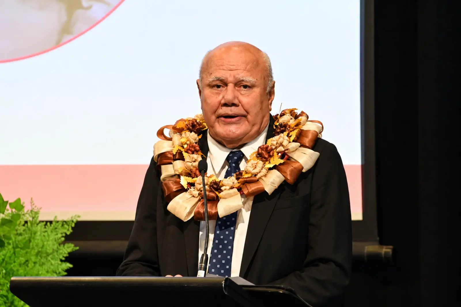Minister for Tourism and Civil Aviation Viliame Gavoka