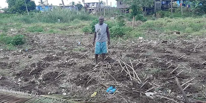 Joji Ramacake at his damaged plantation at the Wainivakasoso Settlement in Lautoka. Photo: Salote Qalubau