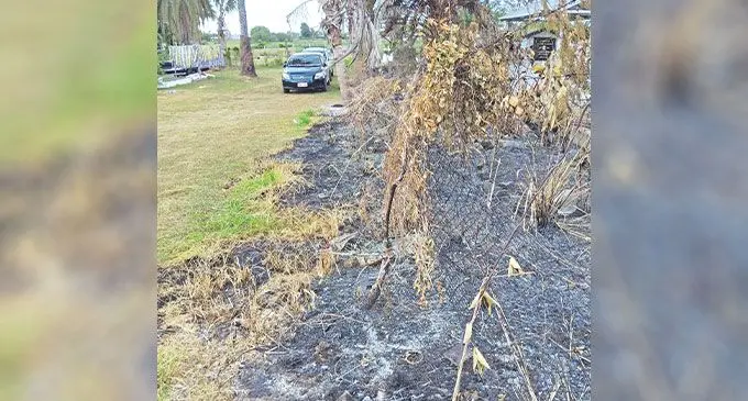 A letter writer is not happy about the damaged caused by a fire near a cemetery in Nadi. Photo: Ronnie Chang