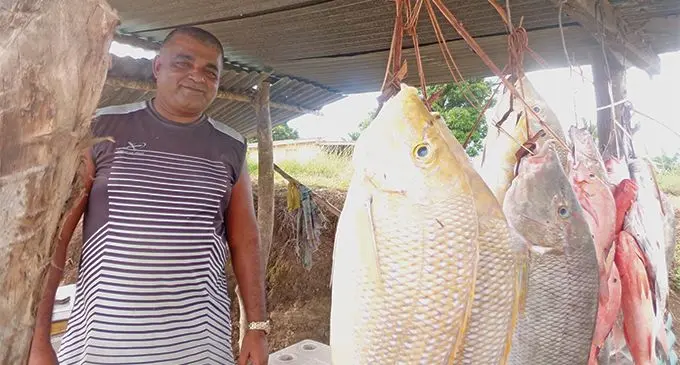 Imraz Rahman selling fish along the roadside in Ba. Photo: Rohit Kumar