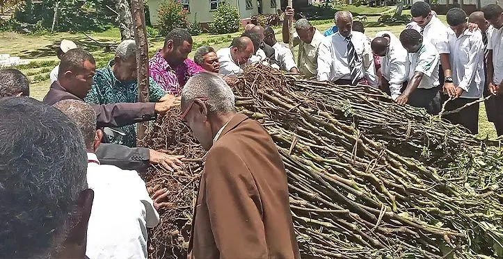 Era masulaka tiko oqori na isevu ni nodra yaqona nai tabagone nai Talatala kei ira na turaga ni vanua ni koro ko Qarani kei ira nai tabagone.