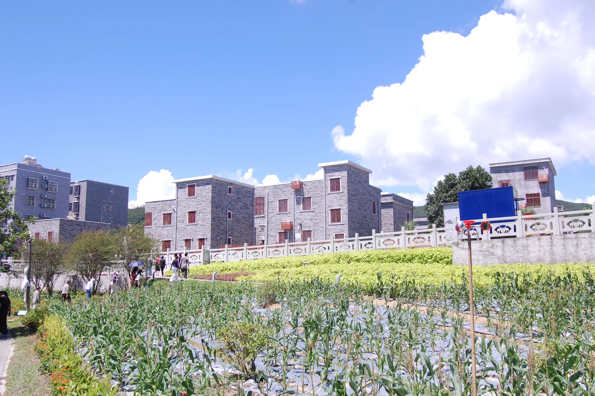 A Village in Zhuhai located in the Guangdong province, South of China.