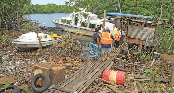 Director of the Department of Environment, Sandeep Singh (third from left) at the mangrove site. Photo: Ronald Kumar.