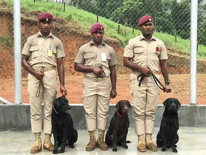 [L-R] Sergeant Sainitiki Naurosau with K9 Dianna, Sergeant Savenaca Drodrolagi with K9 Rocky and Sergeant Maika Vosaca with K9 Gus.