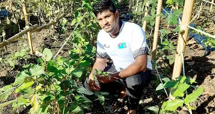 Shewin Ezebial at his backyard garden at Vunivau, Labasa on July 21, 2020.