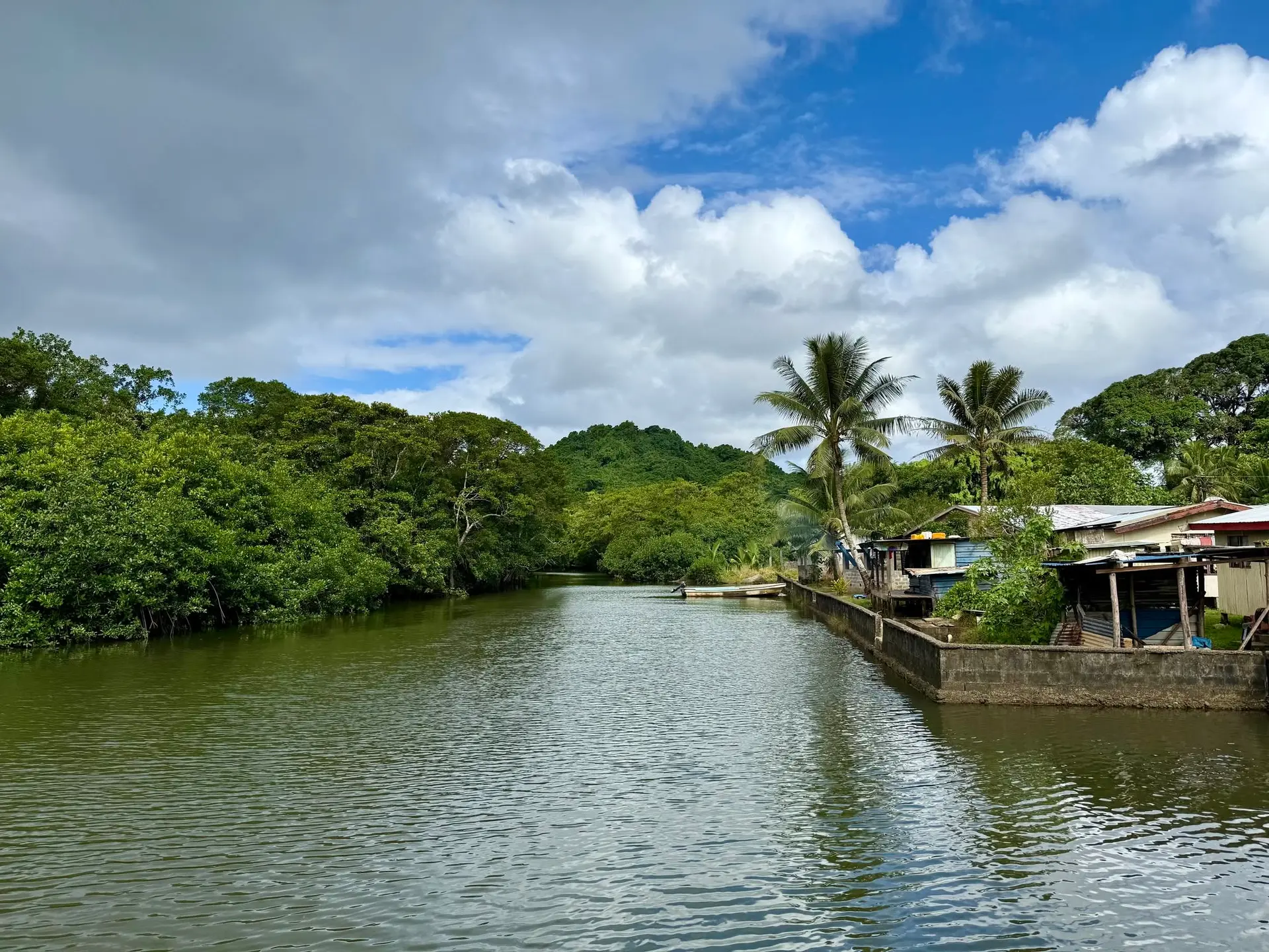 Mau village, Namosi.