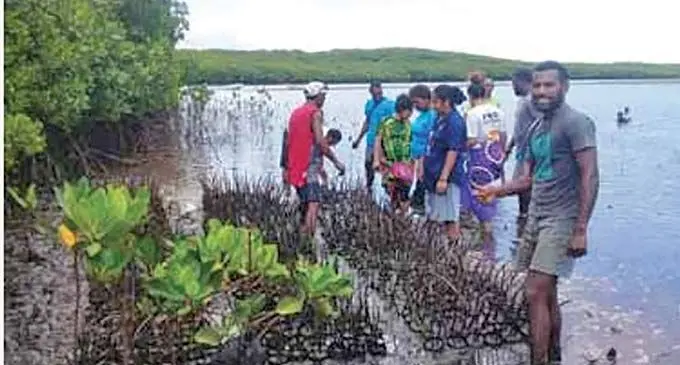 Women and youths of Nakalawaca village building mangrove nurseries back in 2019.