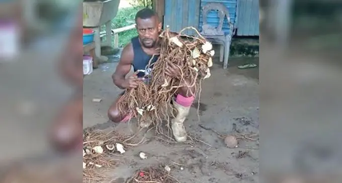 Ko Simione Caginivalu ena nona itikotiko e Wainimala, Naitasiri. 