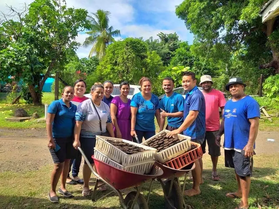  ANZ Lautoka, Tavua and Ba teams participate in native tree planting with Ministry of Forestry.