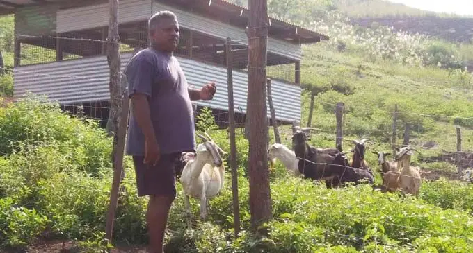 Rajendra Pillay in Labasa. Photo: WATI TALEBULA