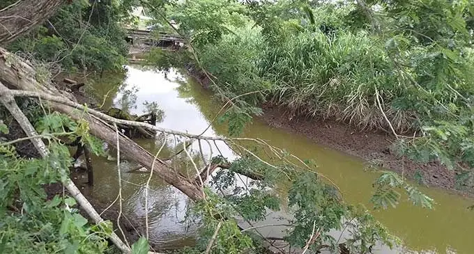 The Nasekula Creek in Labasa. Photo: Jone Salusalu