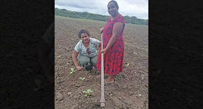 Irinieta Naisau and Reshma Devi at the Tobacco farm in Nasolo in Ba. Photo: Mereleki Nai