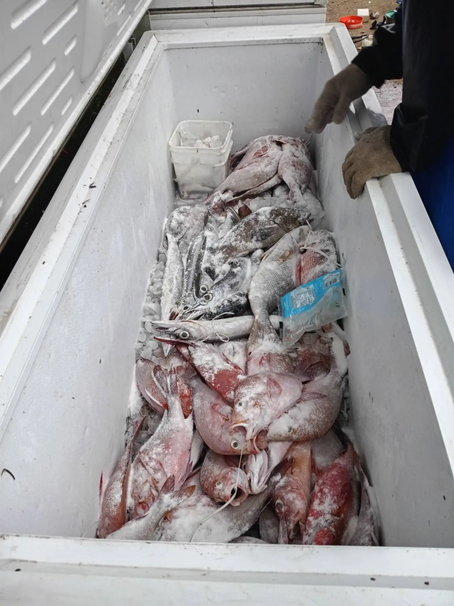 Kadavu fishers seek solar fridge to stop losses, protect livelihoods